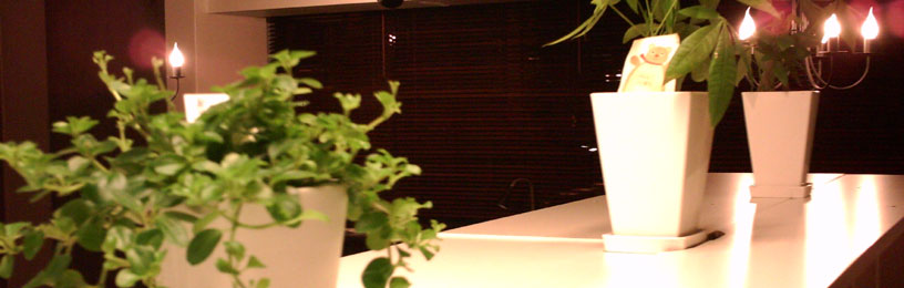 No.110 �ϗt�A��2